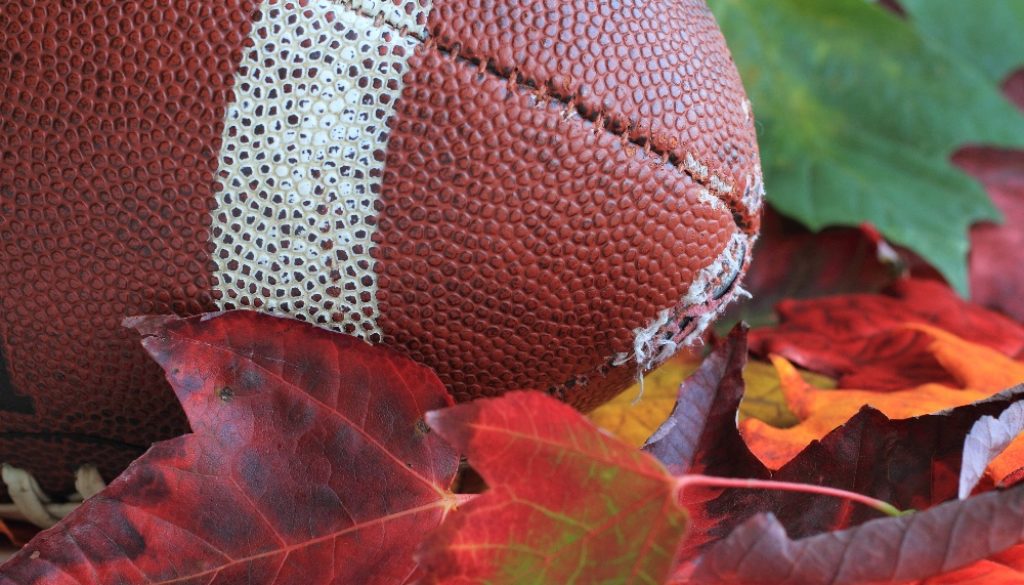 football laying on fall leaves